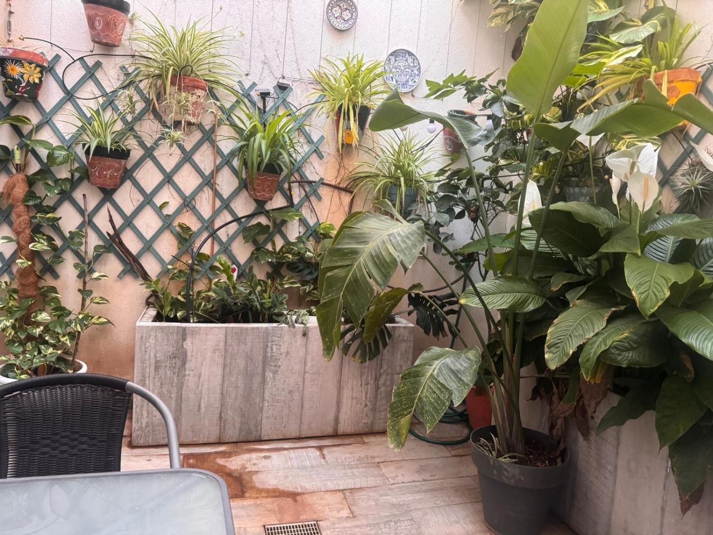 Apartament Loft
